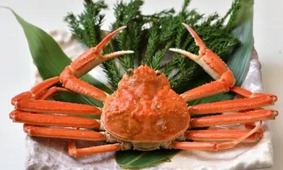 [Winter only] Snow crab image